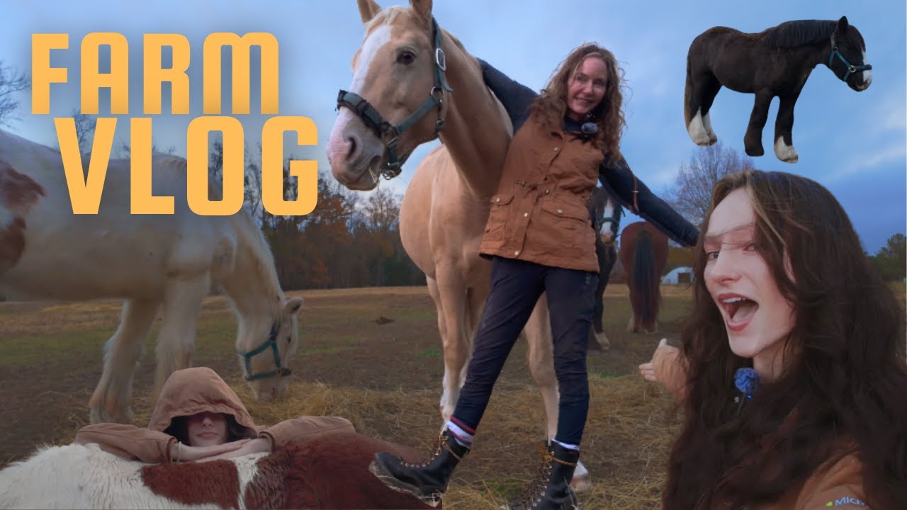 How Do We Split Up Our Horses? | VLOG