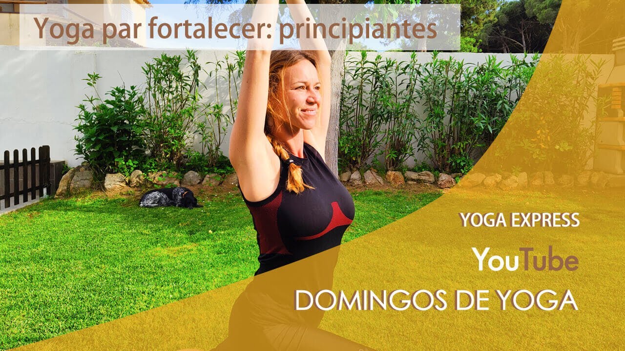 YOGA PARA FORTALECER PRINCIPIANTES🧘 Salud física mental y emocional