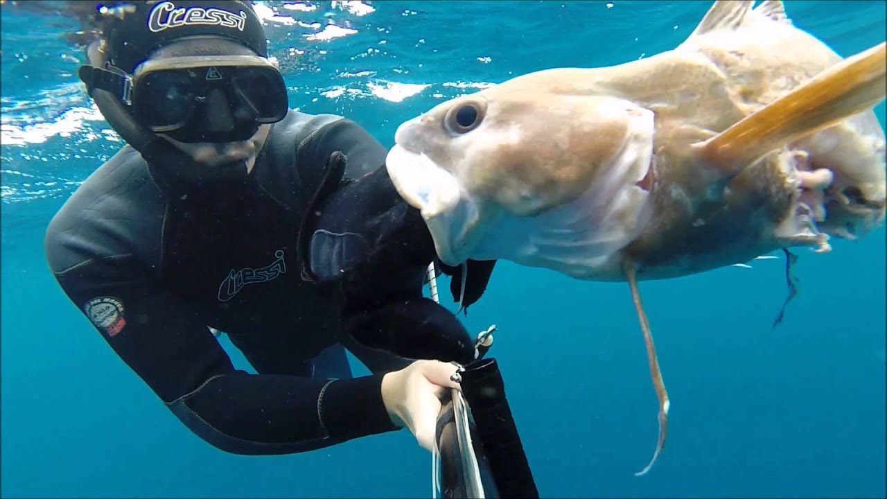 Spearfishing 2015