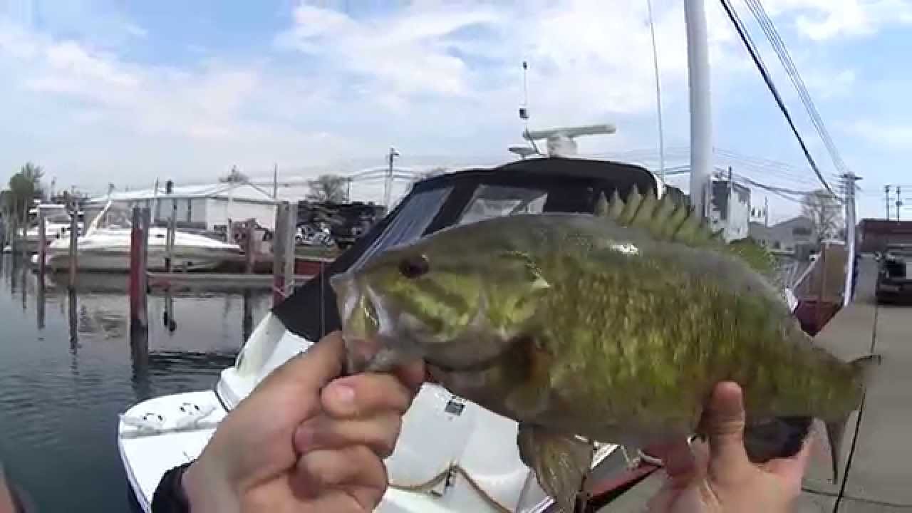 Smallmouth Bass under big boat