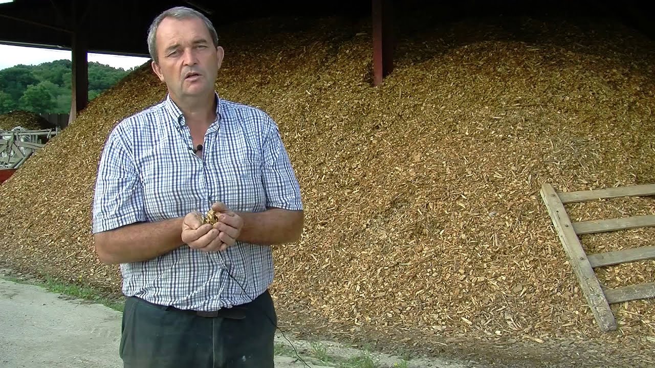 Séchage de maïs par des plaquettes de bois