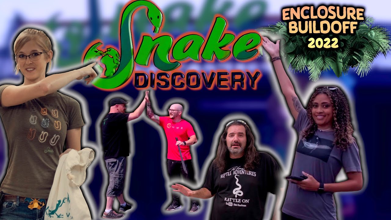 FIRST LOOK at the Snake Discovery Enclosure Build Off - 2022