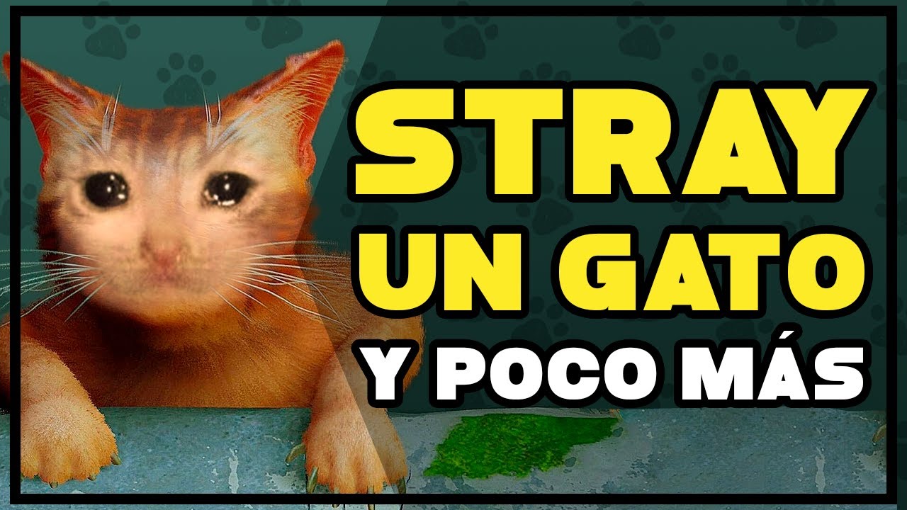 STRAY - Es un juego de un gato