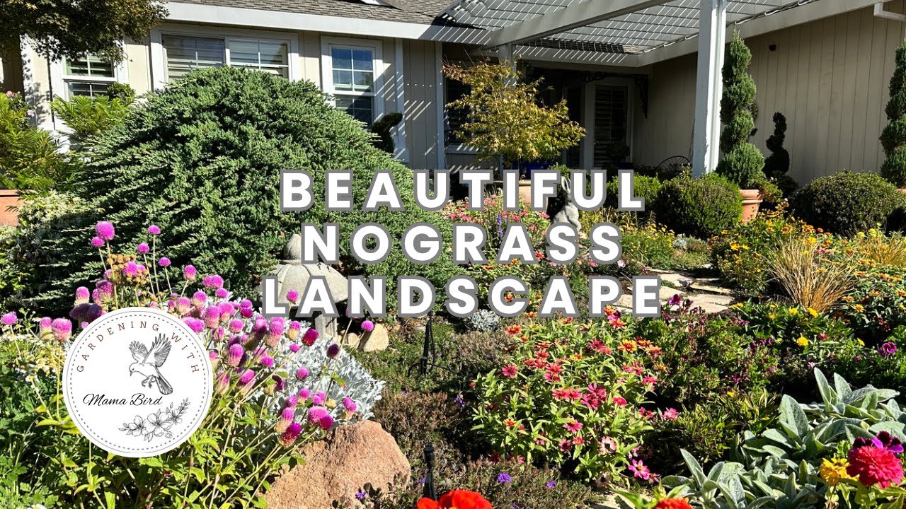 Landscape Ideas for Front of House 🏡 Garden Tour #garden #gardening #gardeningvideos
