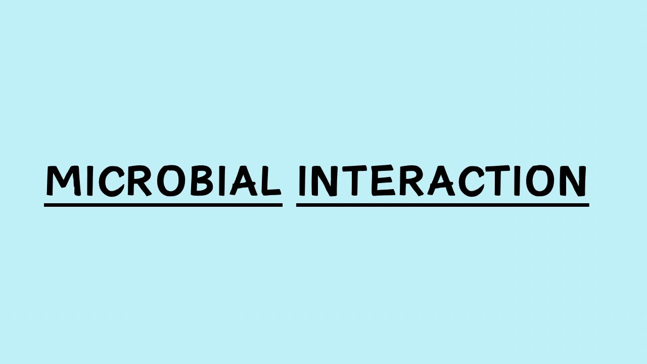 Microbial interactions