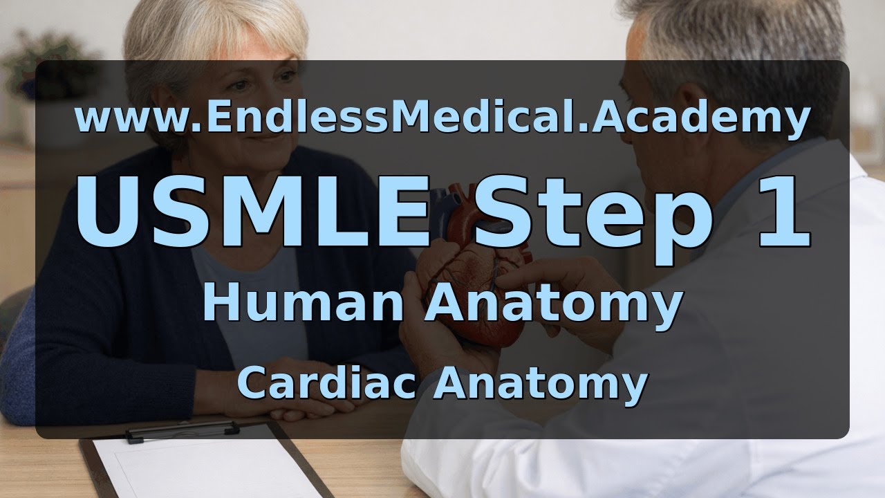 Cardiac Anatomy, Human Anatomy, USMLE Step 1 - Full Vignette with Extended Explanations