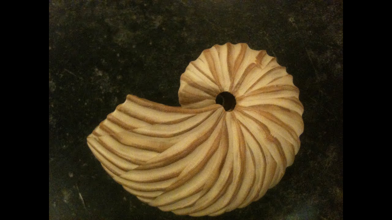 Texturing a Wood Shell.
