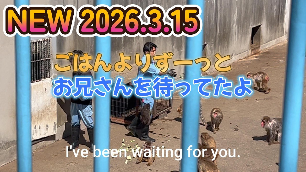 2026.3.15 最新映像　パンチくんのかわいい瞬間　punch