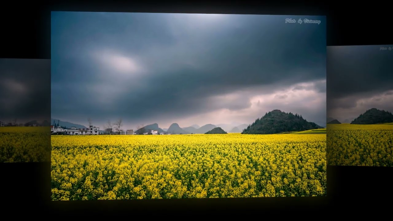 風潮音樂 - 三月柳絮
