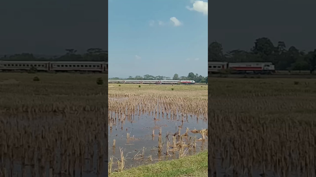 Sang Pelari Siang Melintas Di Jalur Kantong #keretaapiindonesia #kamatarmaja #adsfamily