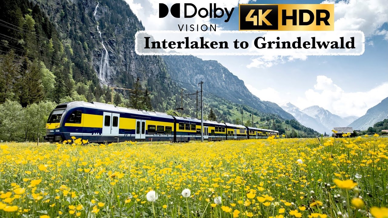4K Interlaken to Grindelwald Train - Switzerland's Most Beautiful Train Ride | 4K 60p HDR vlog