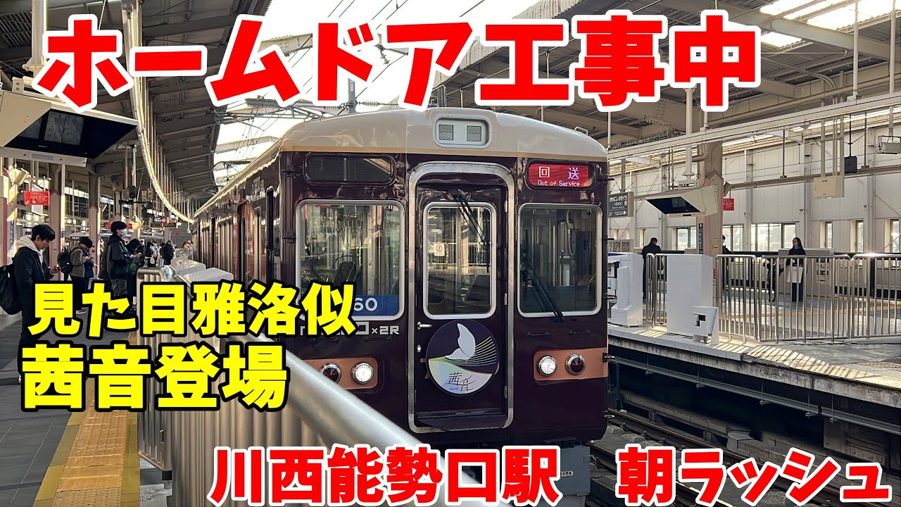 【#阪急電車】まもなくホームドア工事完了　のせでん直通車両スイッチバックする駅　#阪急宝塚線　川西能勢口駅朝ラッシュ