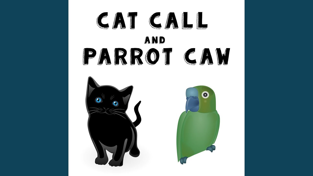 Cat Call