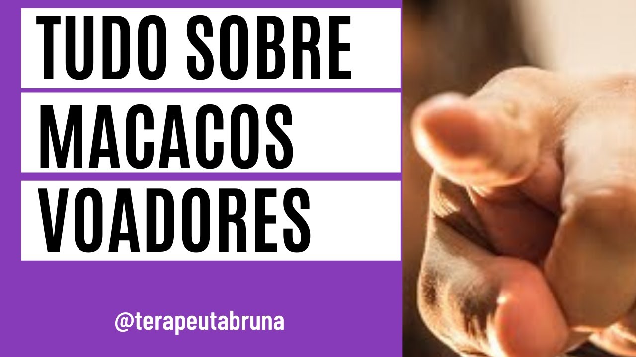 Macacos Voadores | Saindo da difamação #famíliasdisfuncionais