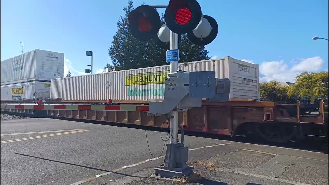 1 YEAR OF TRAINS