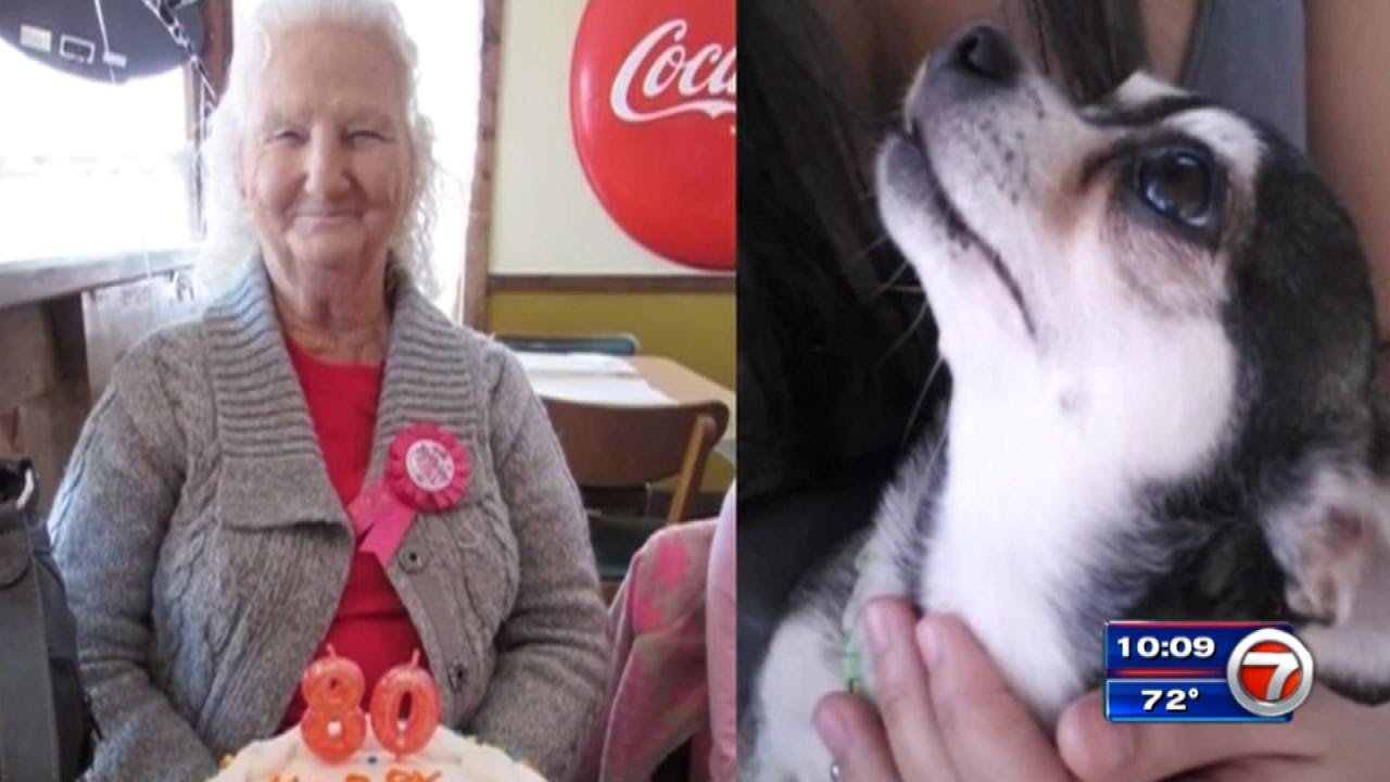 80-Year-Old Grandmother And Dog Killed Pushing Neighbor From Speeding Car's Path