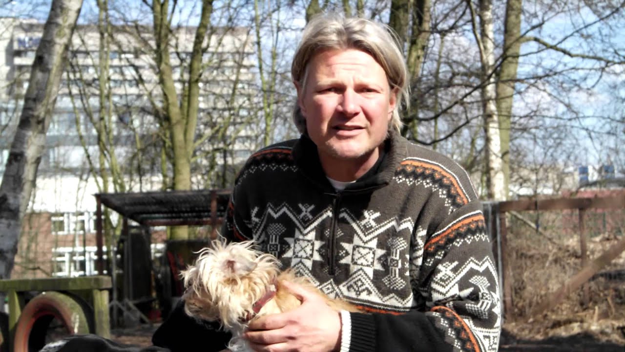 Voraussetzungen zur Hundehaltung