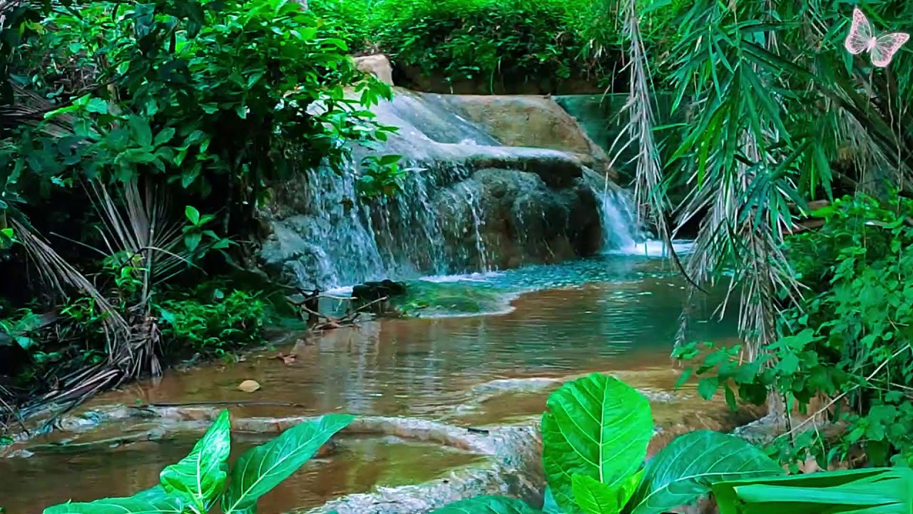 Relaxing Music For Stress Relief, Anxiety and Depressive States🌲 Heal Mind, Body and Soul Calm 92