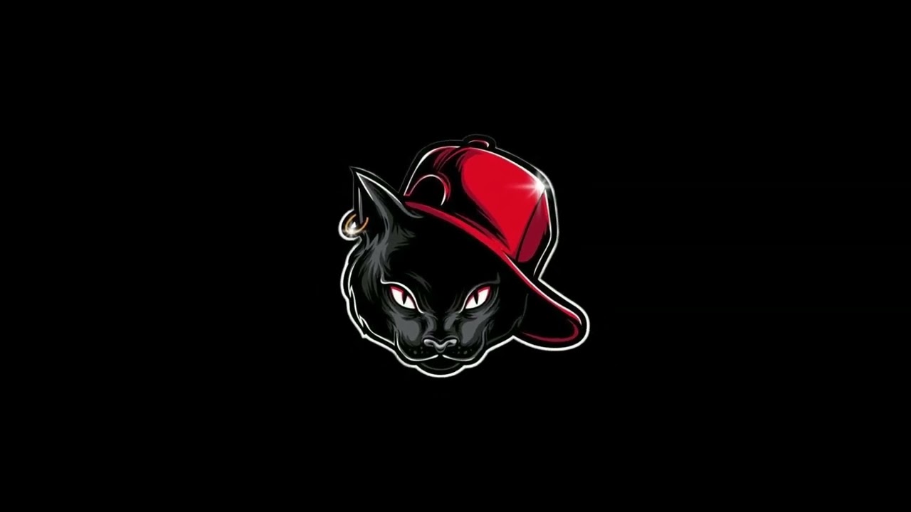 [free] instru type beats rap 2026 ( chat noir )