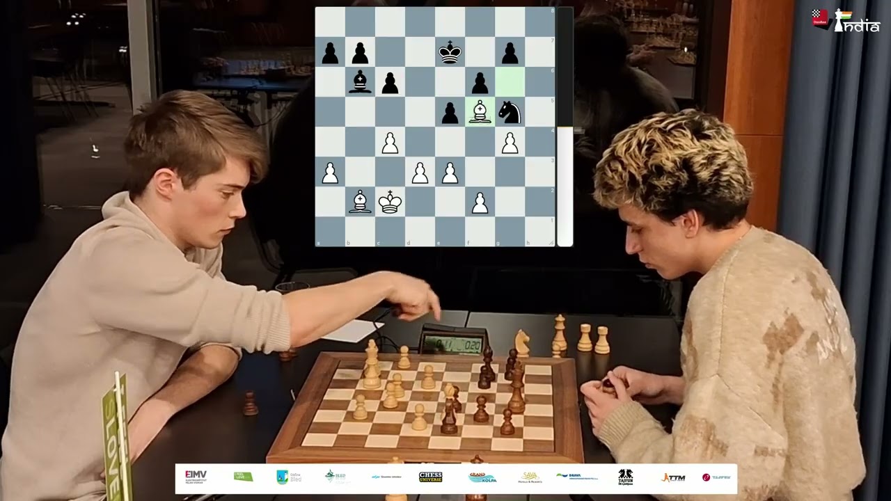 Minor Piece Endgame with an Abrupt Finish - GM Max Warmerdam vs FM Zanas Nainys