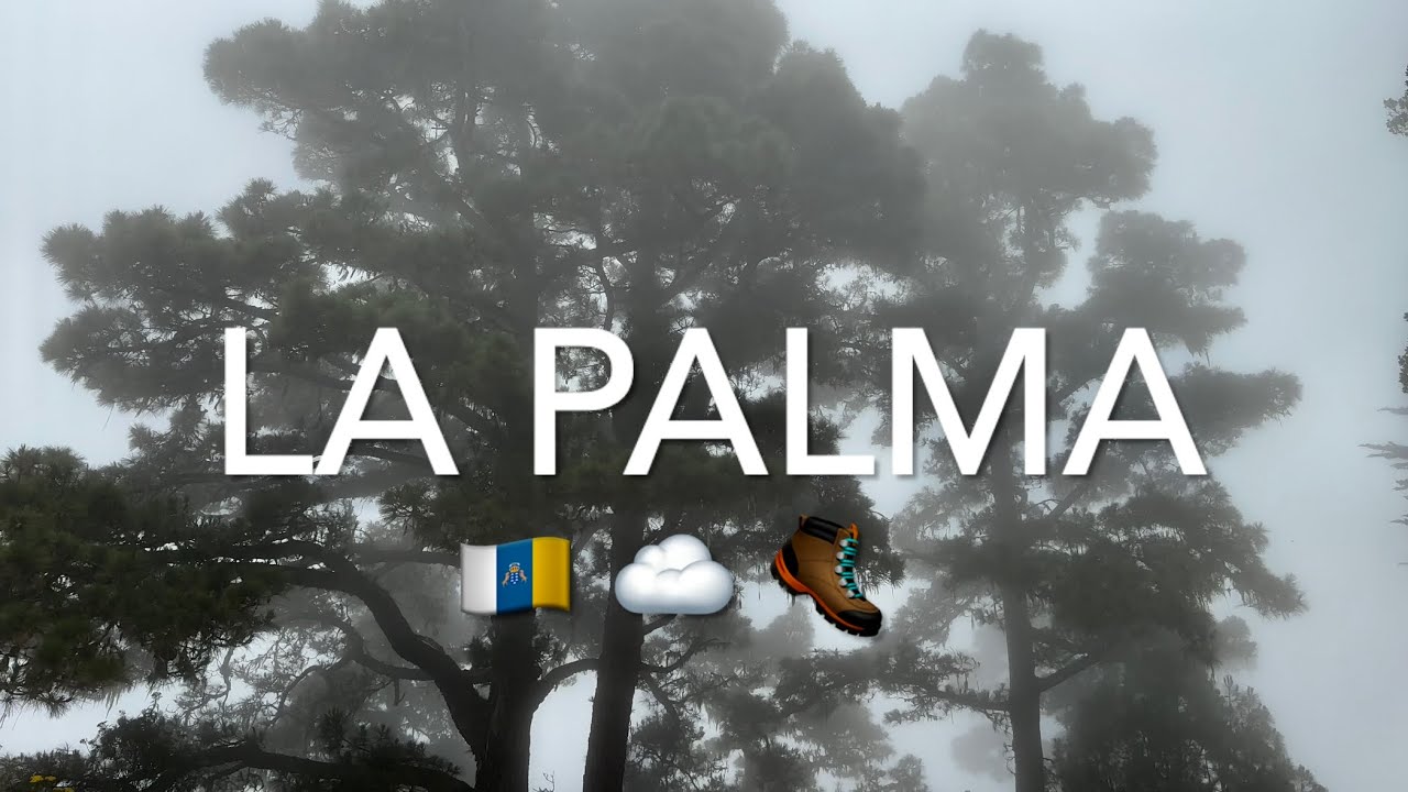 La Palma: Hiking Inside Clouds - Garafia (4K)