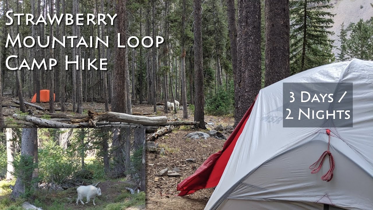Путеводитель по пешеходному маршруту Strawberry Mountain Loop Camp | Прейри-Сити, Орегон