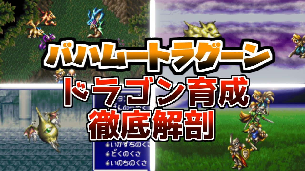 知らないことがいっぱい!?バハムートラグーンドラゴン育成について今さら解説【スーパーファミコン名作RPG】【レトロゲーム紹介】