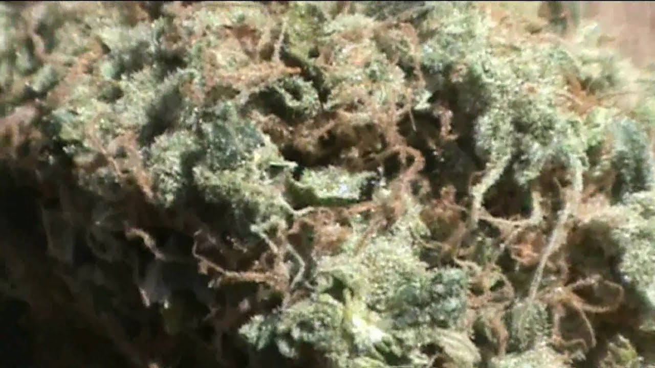 The CCC - Episode 5: Headband Strain Review / Edible Reviews