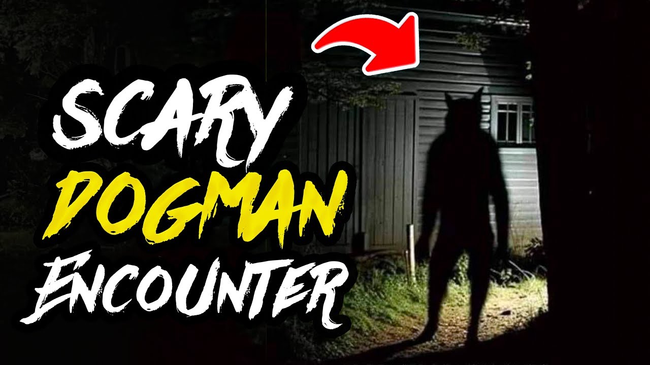 I Captured the Creepiest Michigan Dogman Encounter on Trail Cam