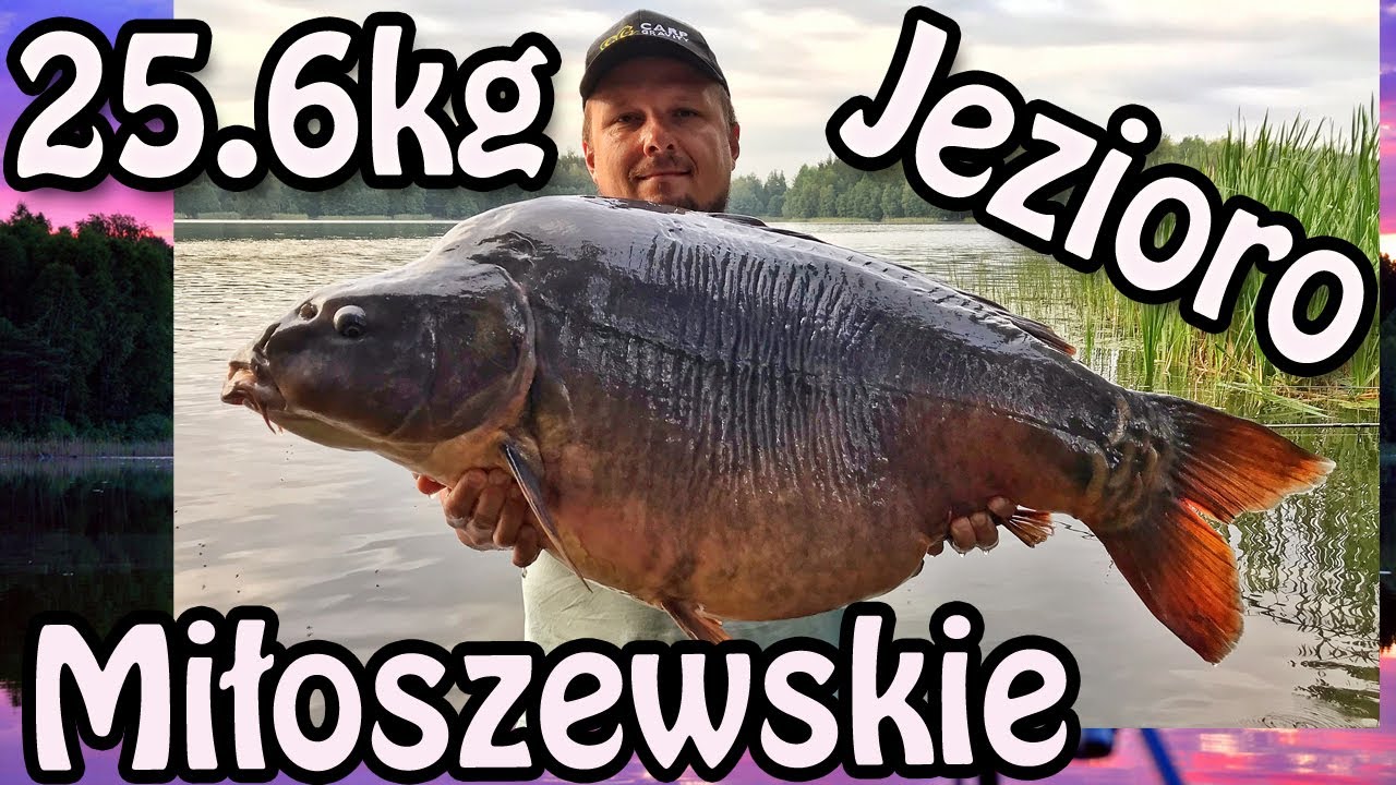 #1 Jubileuszowy karp 25,6kg | Jezioro Miłoszewskie