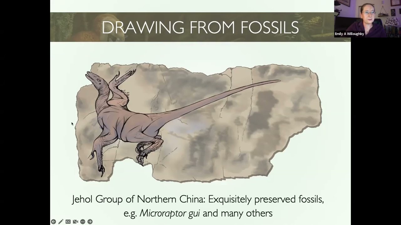 Drawing and Painting Dinosaurs with Emily Willoughby