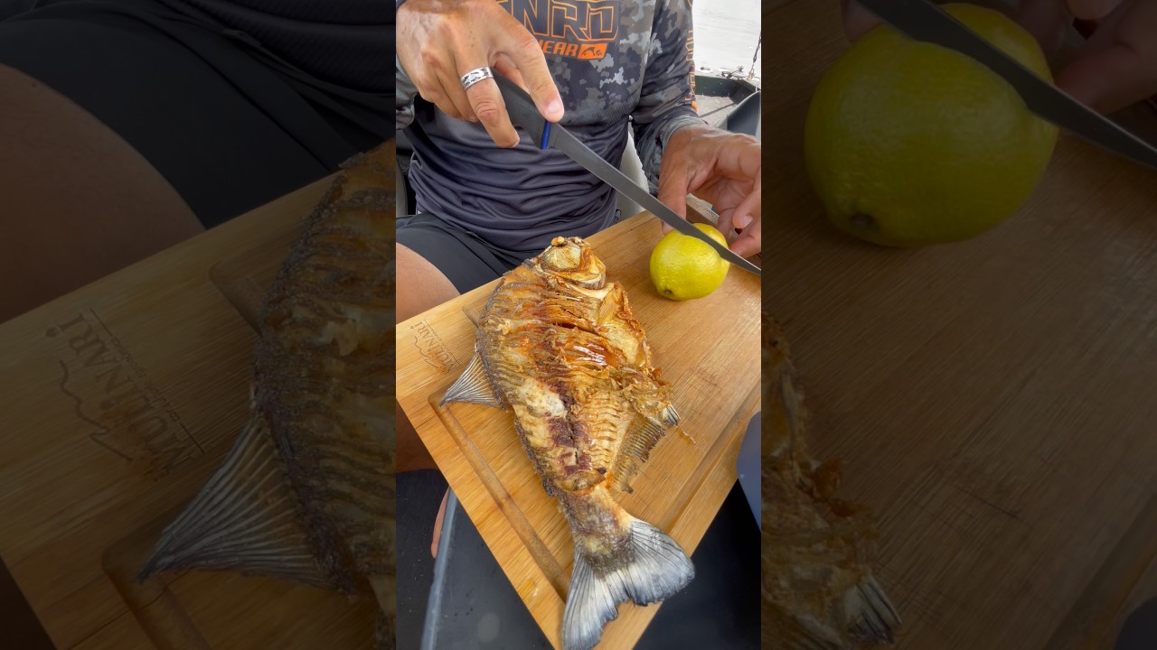 UM PEIXINHO FRITO ESPECIAL! 🔥 #pescaria #johnnyhoffmannoficial #comida