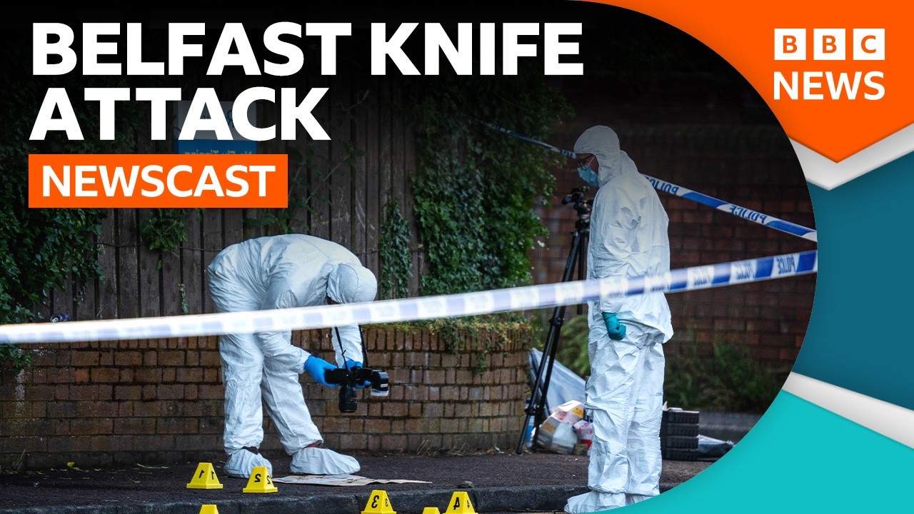 What we know about the Belfast knife attack so far | BBC Newscast