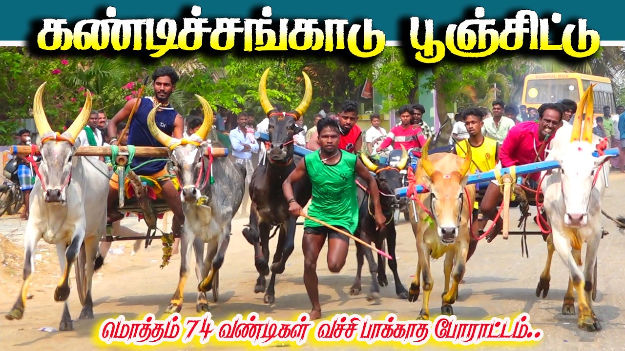 கண்டிச்சங்காடு பூஞ்சிட்டு 3 பந்தயம் 09.03.2026