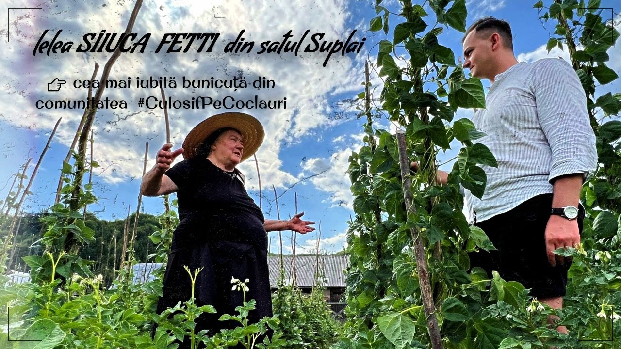 În vizită la cea mai iubită bunicuță din comunitatea @CuIosifPeCoclauri: lelea SÎIUCA FETTI ( 🆕 )