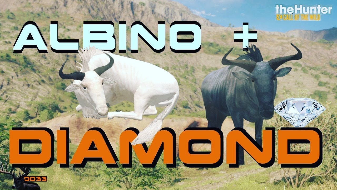 The LUCKIEST HUNT on Africa Ever!! (Diamond) Call of the WILD THEHUNTER 2018