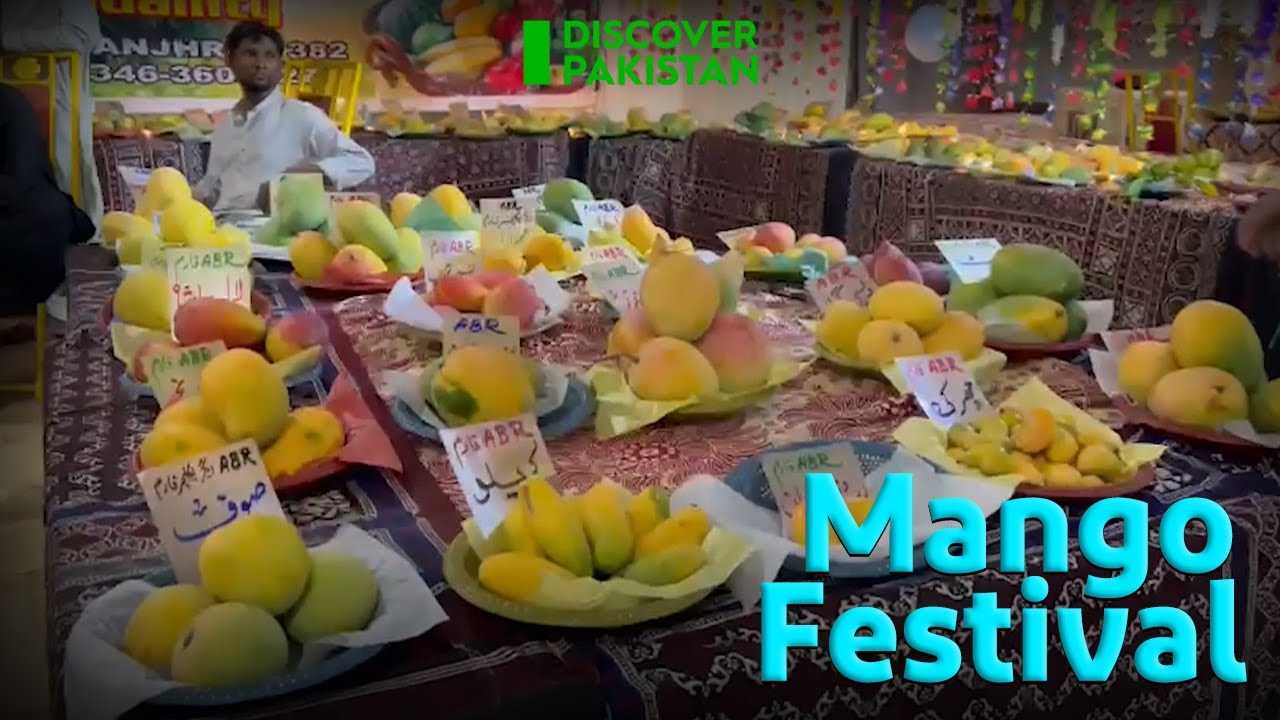 Pakistan Mango Festival | The King Of Fruits | Discover Pakistan Tv