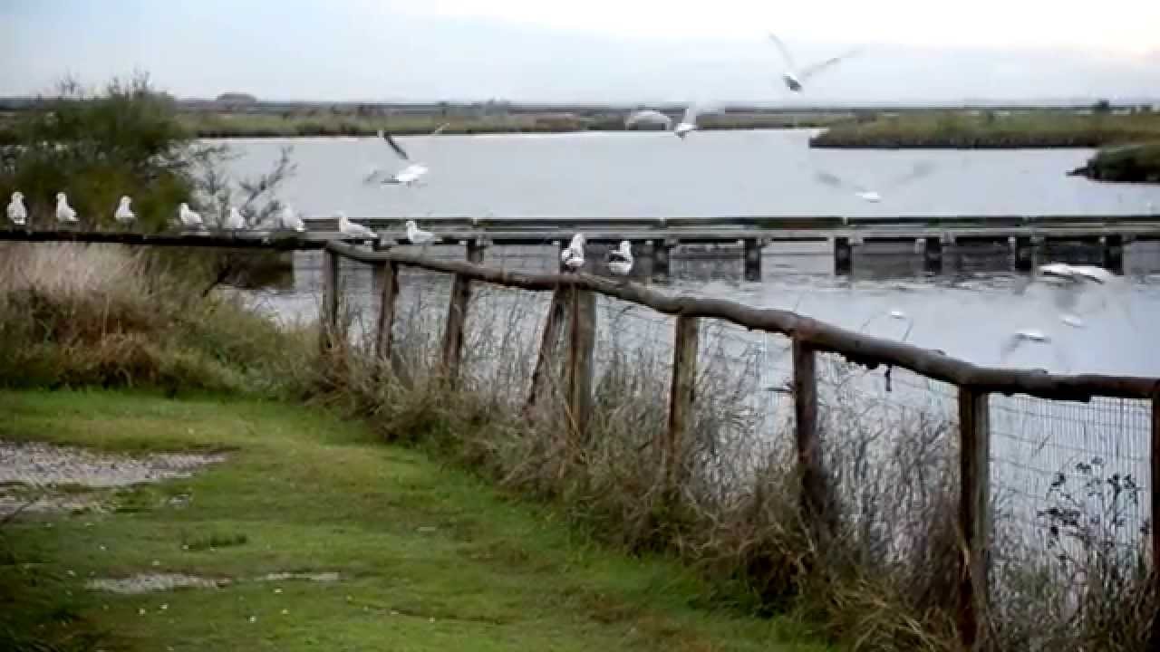 Comacchio, le valli, il delta del Po