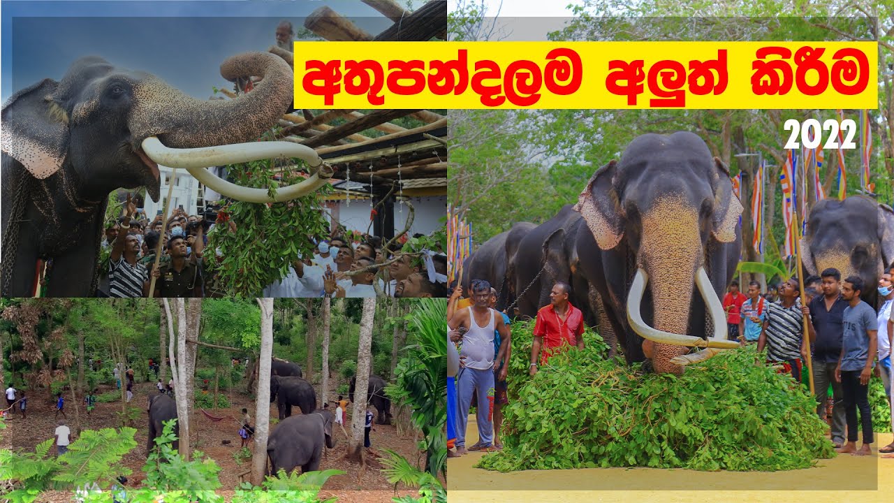 Renew Kataragama Devol Athupandalama අතුපන්දම අලුත් කිරීම Kataragama Wasana