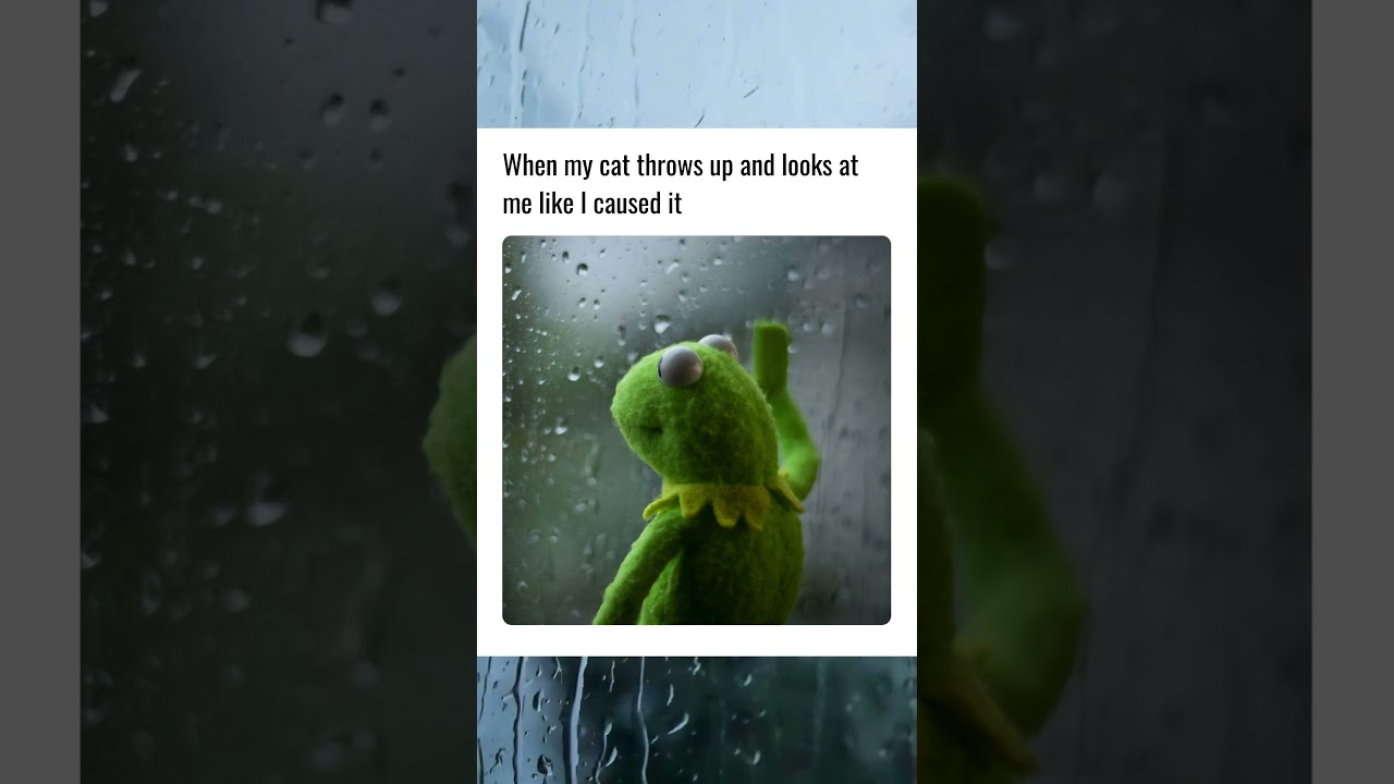 🐸 A meme so real it's therapy 🛋️ #KermitNation #ComedyShorts #MemeGame #IndieGaming