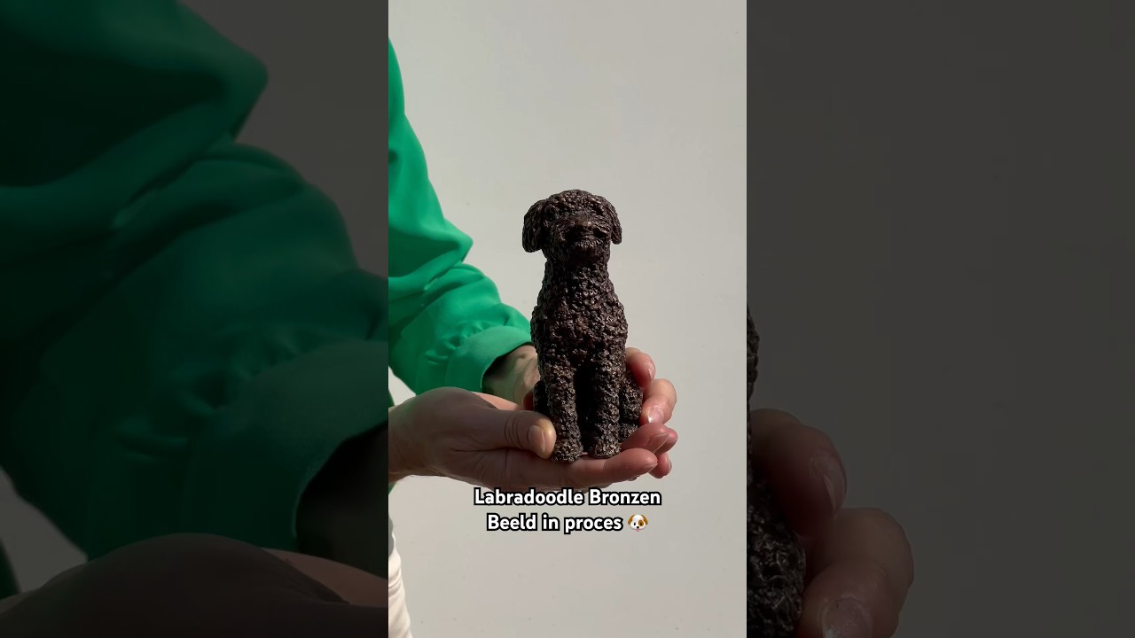 Labradoodle vereeuwigd in een bronzen beeldje! 🐶🐾 #bronzenbeeld #hondenbeelden #labradoodle