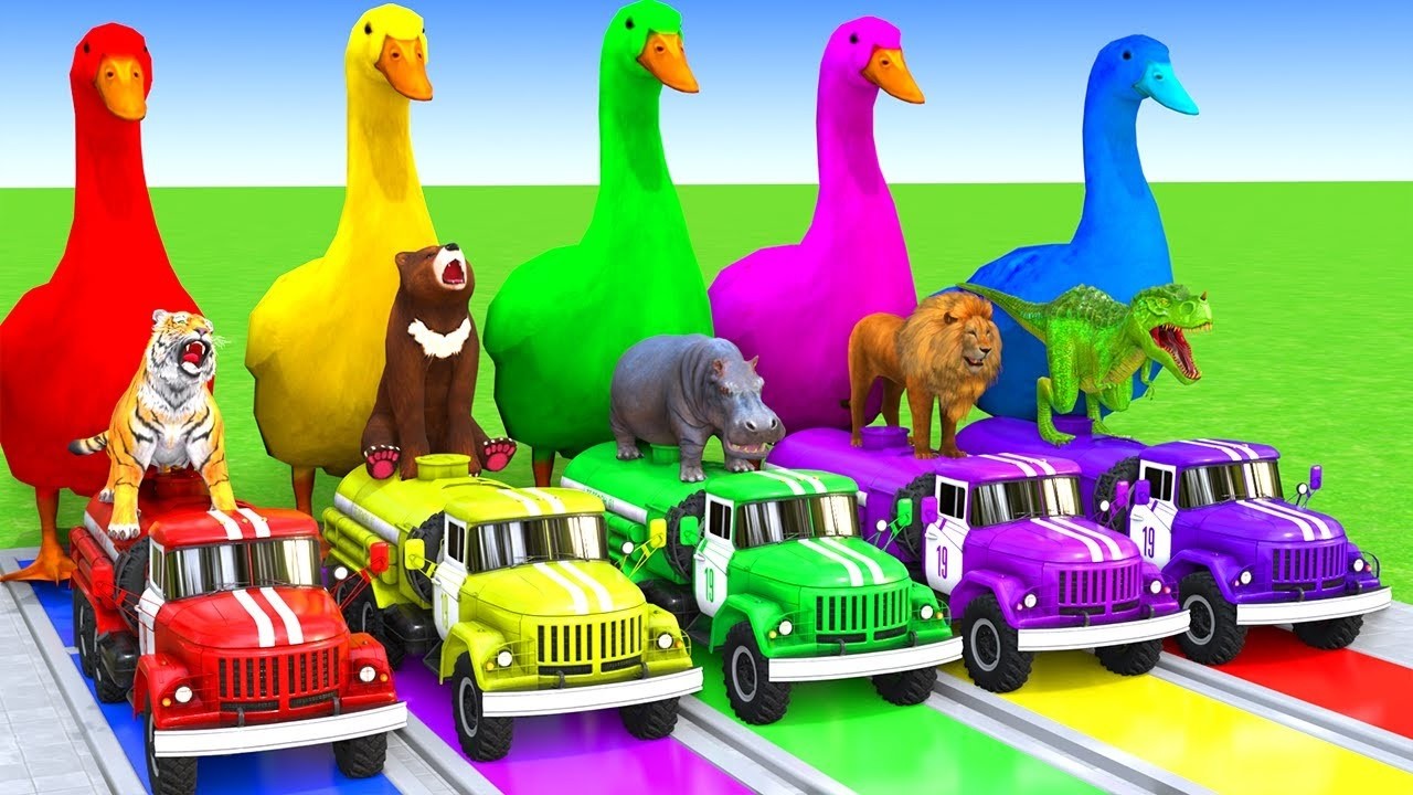 5 Giant Duck Cartoon,Cow,Elephant,Tiger,Dinosaur,Paint Wild Animals Crossing Fountain Animation #077