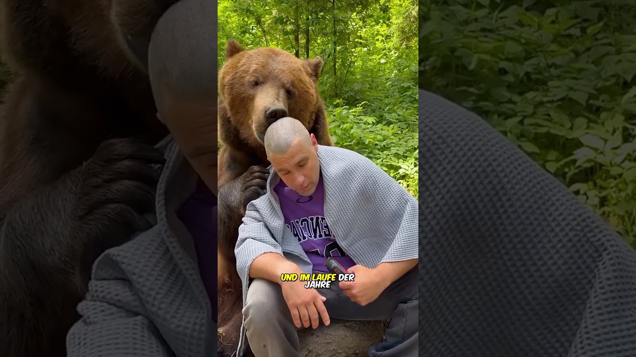 Der Braunb&auml;r, der von einem russischen Onkel aufgezogen wurde #shorts