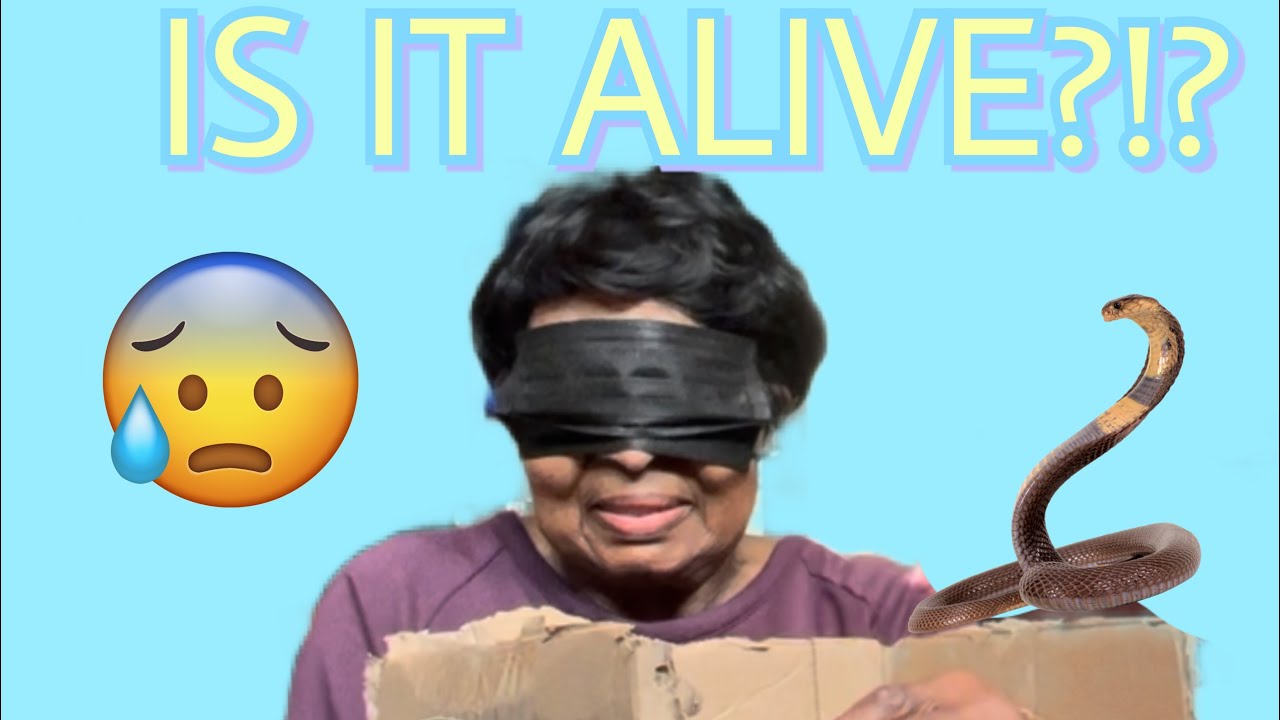 Grams Tries WHATS IN THE BOX CHALLENGE