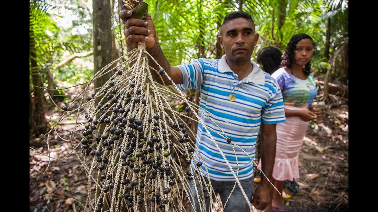 Natura, el precio de ser sustentable