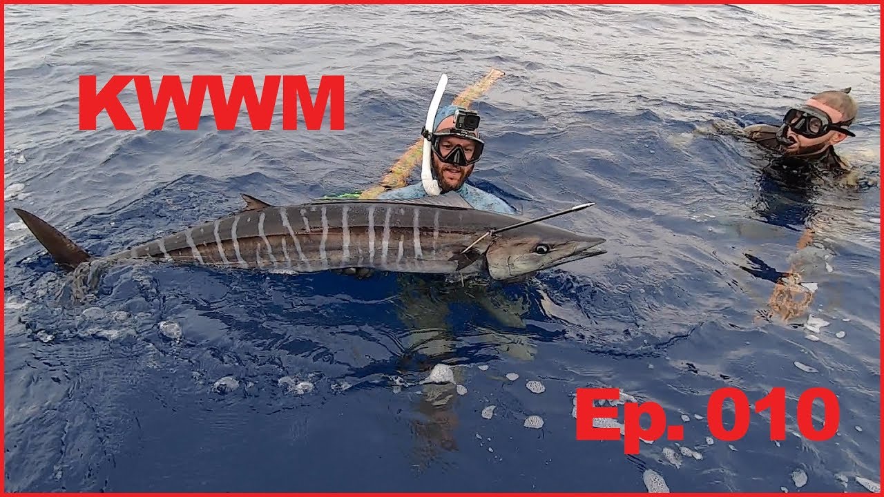 Spearing Wahoo Key West -Afternoon Delight- Spear, Clean, Cook Key West Waterman Ep. 010