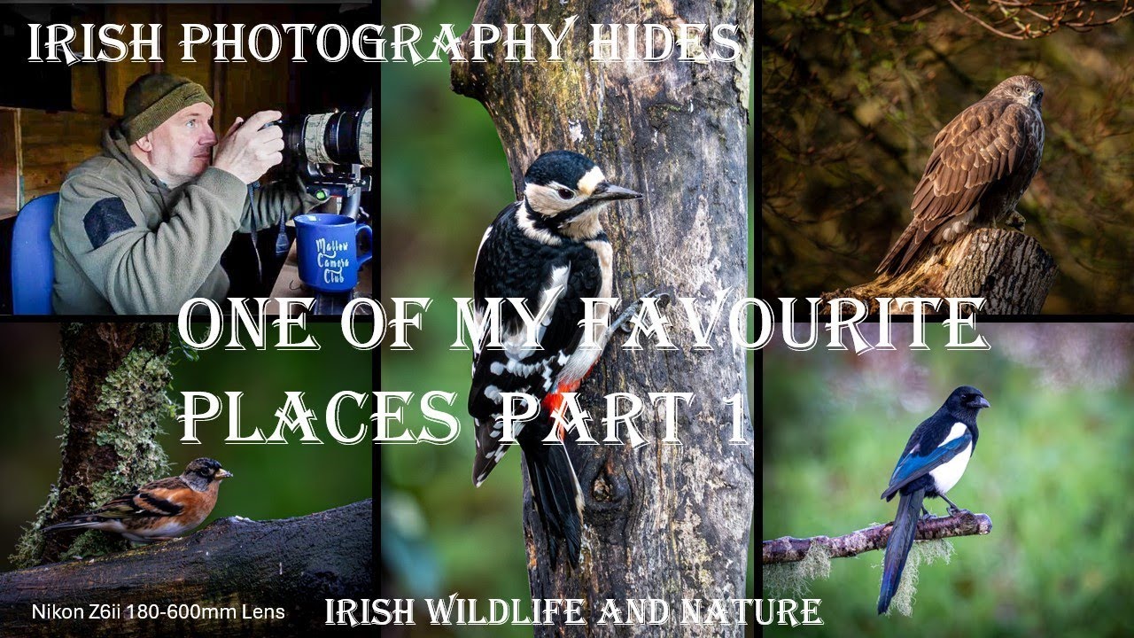 Irish wild life and Nature. One of my Favourite Places Part 1
