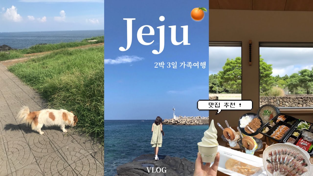 [VLOG] 제주도 2박 3일 가족 여행✈️ | 맛집 + 숙소 + 갈만한 곳 추천 | 제주도 가족 여행 코스 공유 | 여름 제주는 힘들다..🥵