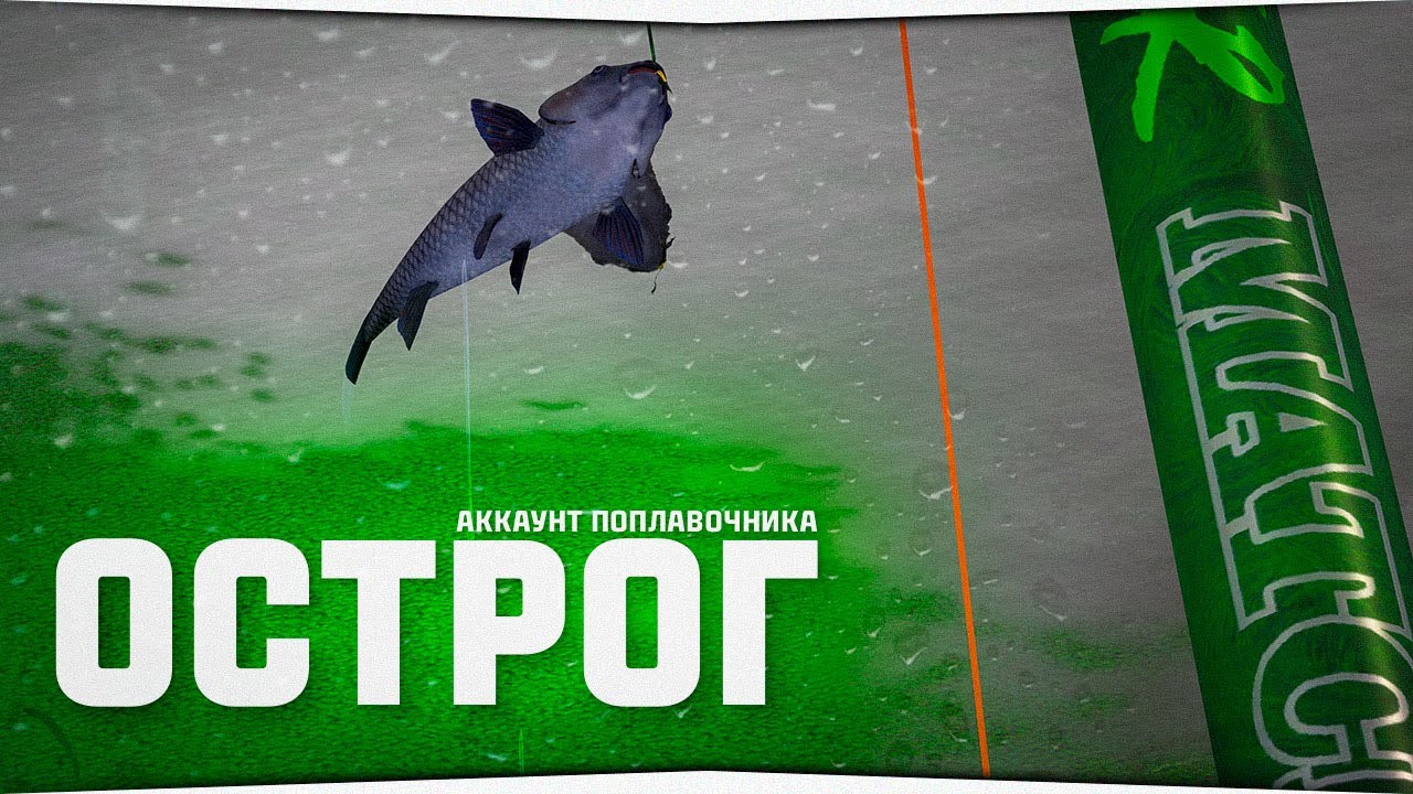 Рыбалка МАХАМИ и МАТЧАМИ на озере Старый Острог • Поплавок для начинающих #16