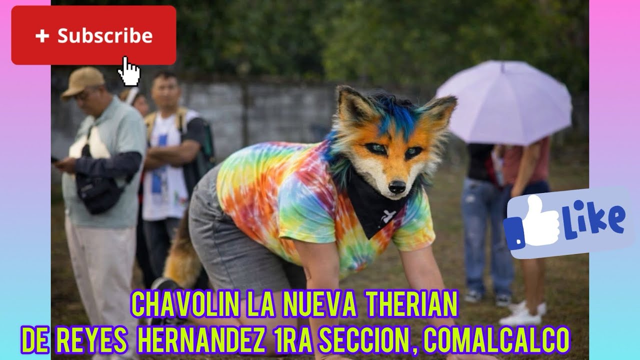 Chavolin la nueva therian de Reyes Hernández 1ra sección de comalcalco 🦊😂